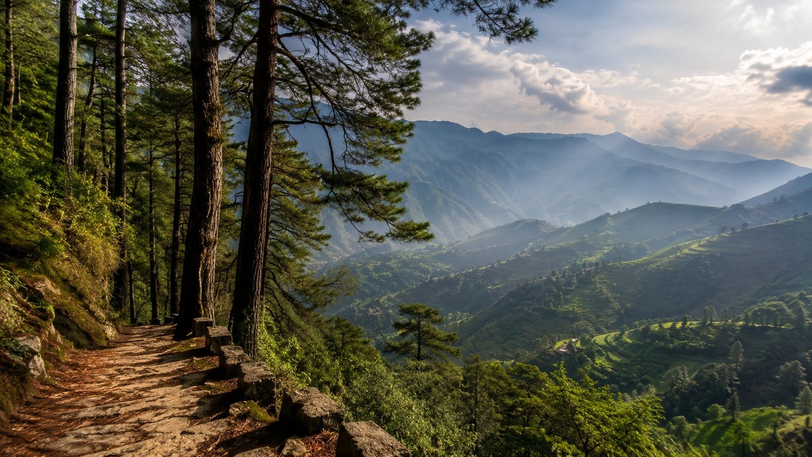 Forest roads and mountain silence